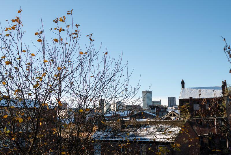 City Skyline Views