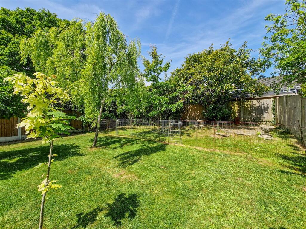 Rear of the garden