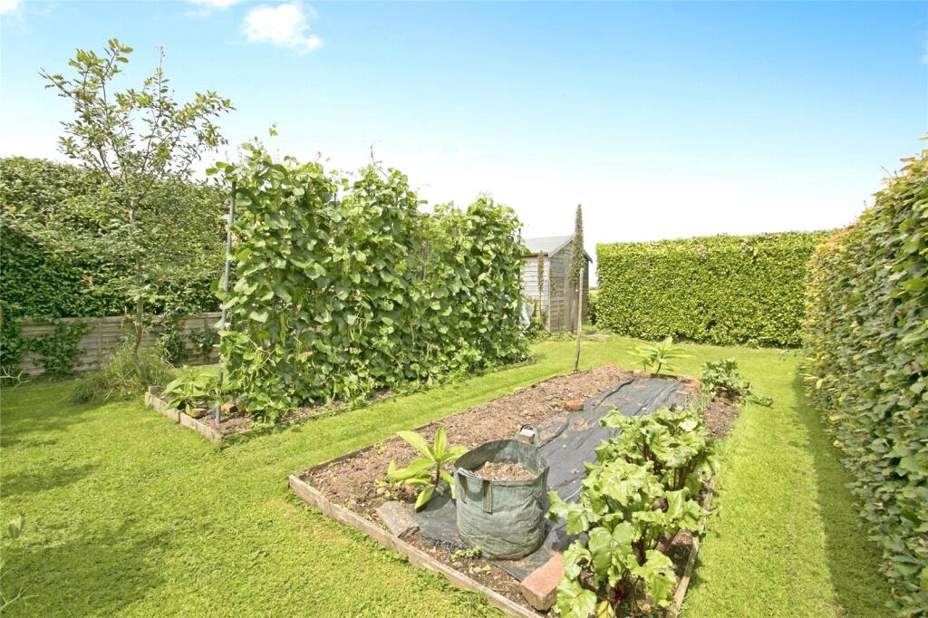 Vegetable Garden 1