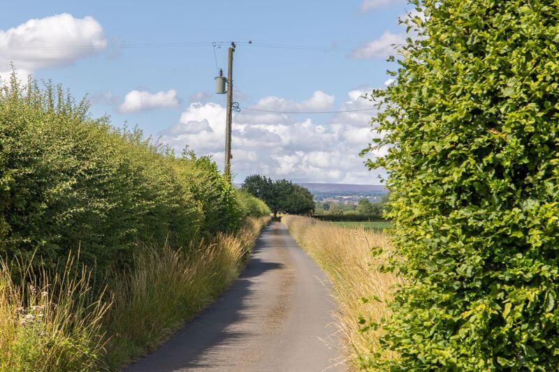 Photo 30