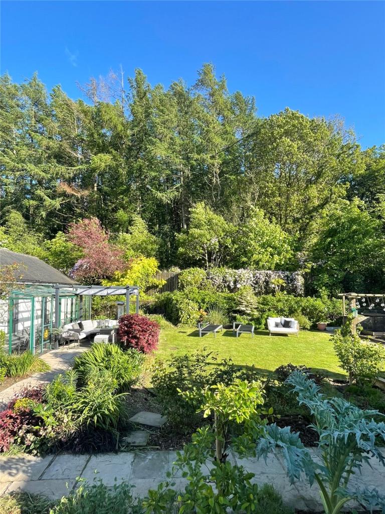 Garden in Summer