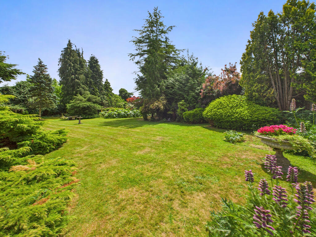 Garden 4