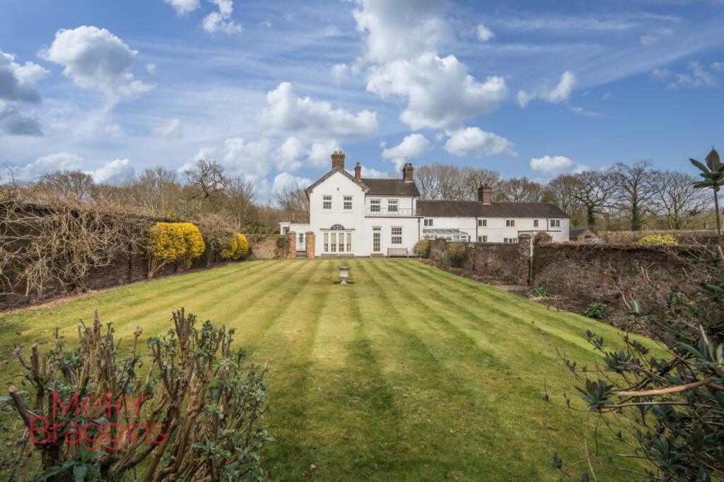 20250321-20250321-DSC07338-Edit (2).jpg