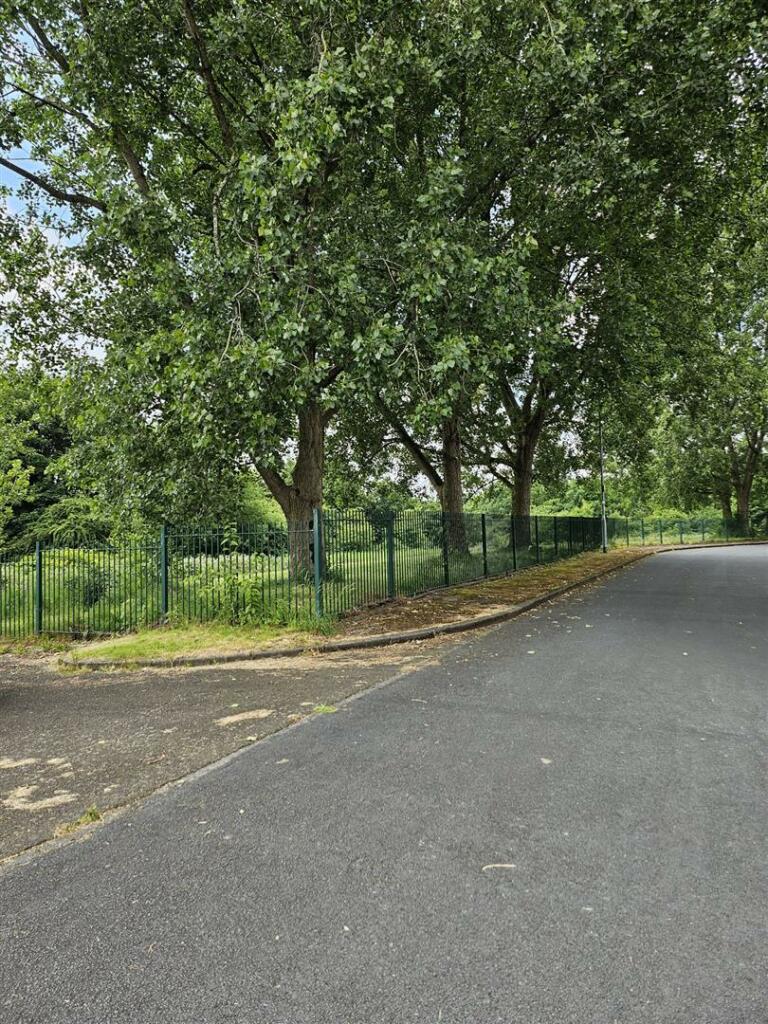 PHOTO-2024-06-24-14-55-03 2.jpg