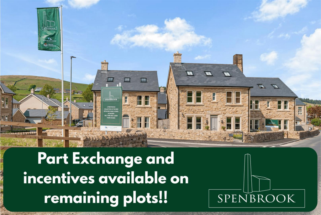 Your paragraph text (3).png