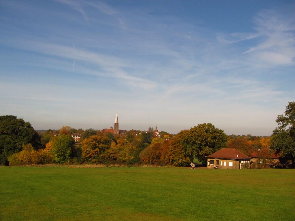 Hampstead Heath