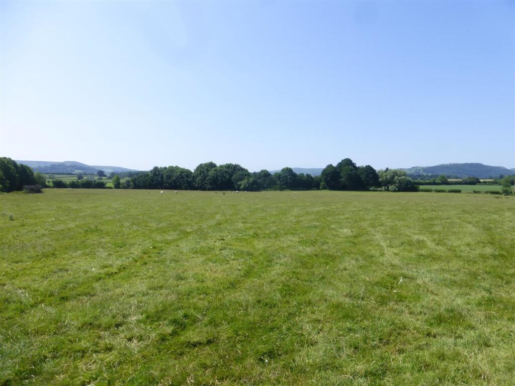 Lot 3