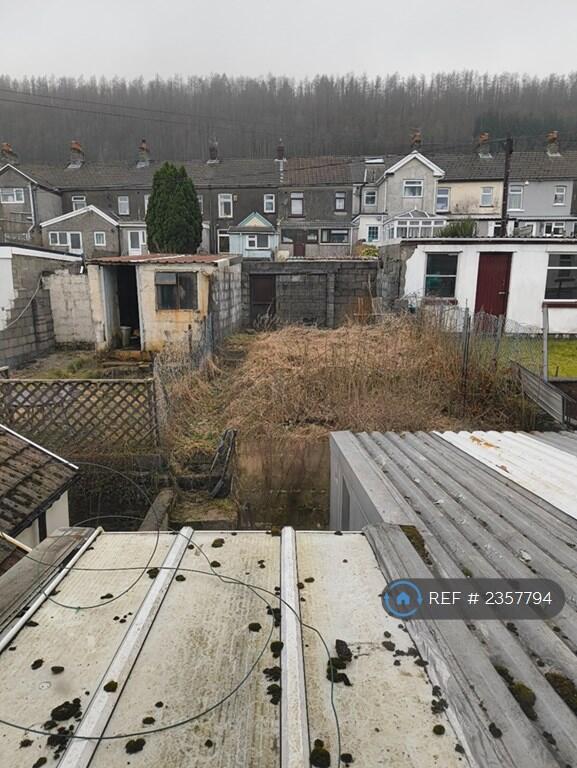 Back Garden (Currently Overgrown)