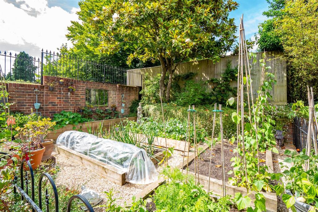 Vegetable Patch.jpg