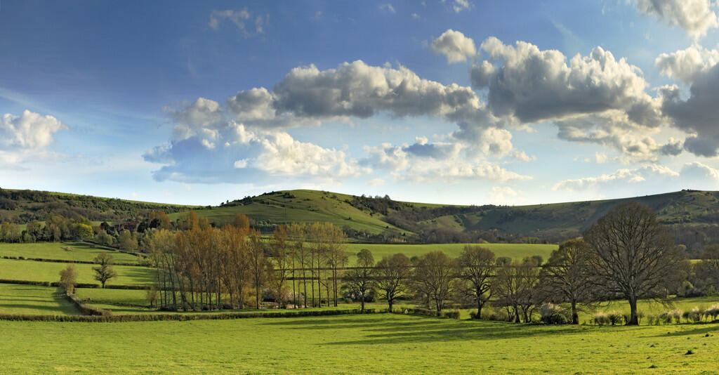 typical photograp...