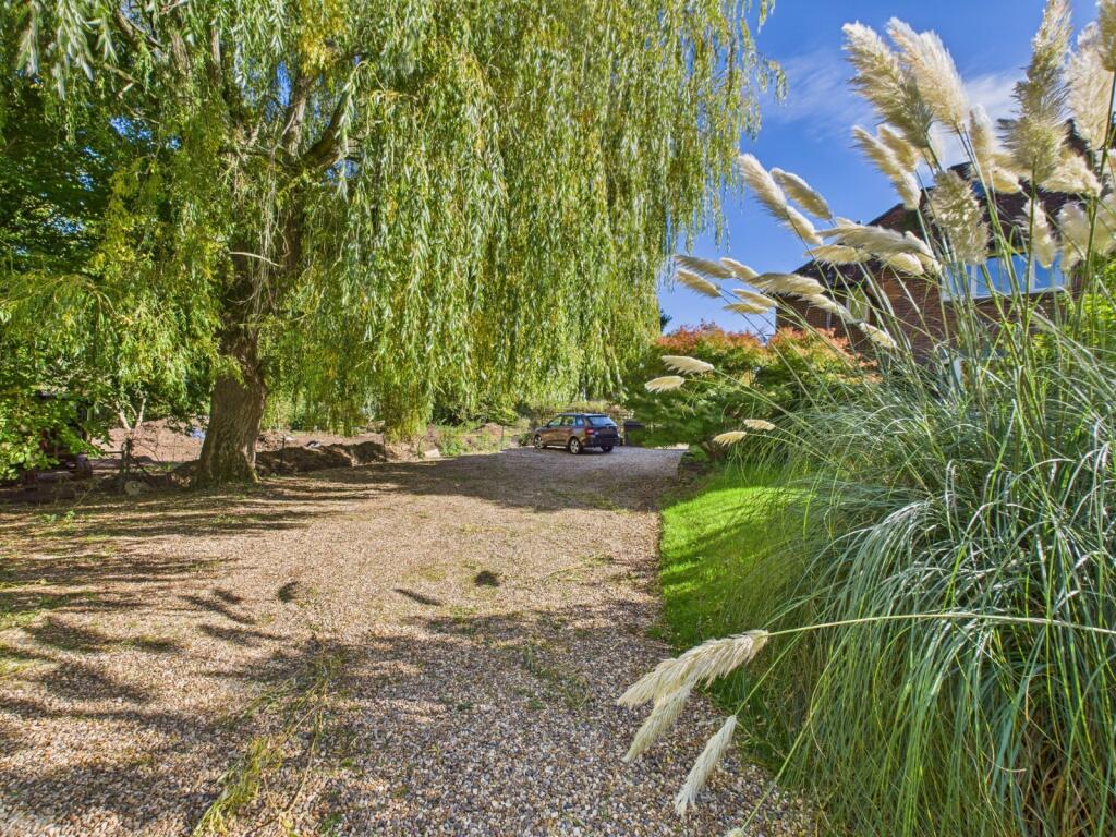 Driveway
