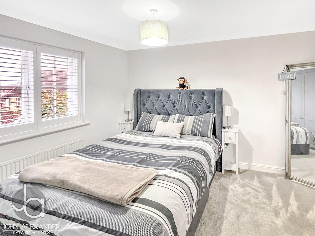 20241114_14592829...