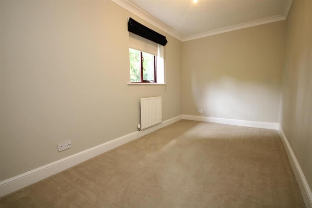 IMG_4805.JPG