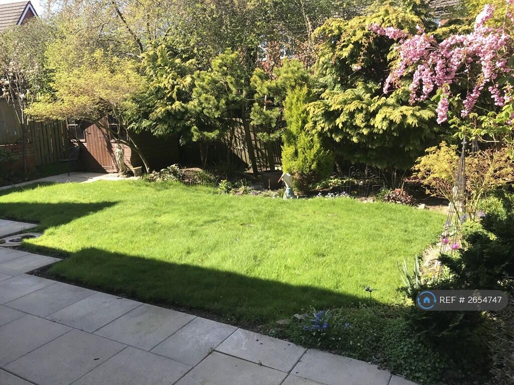 Back Garden