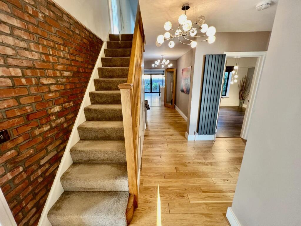 IMG_4124.jpeg