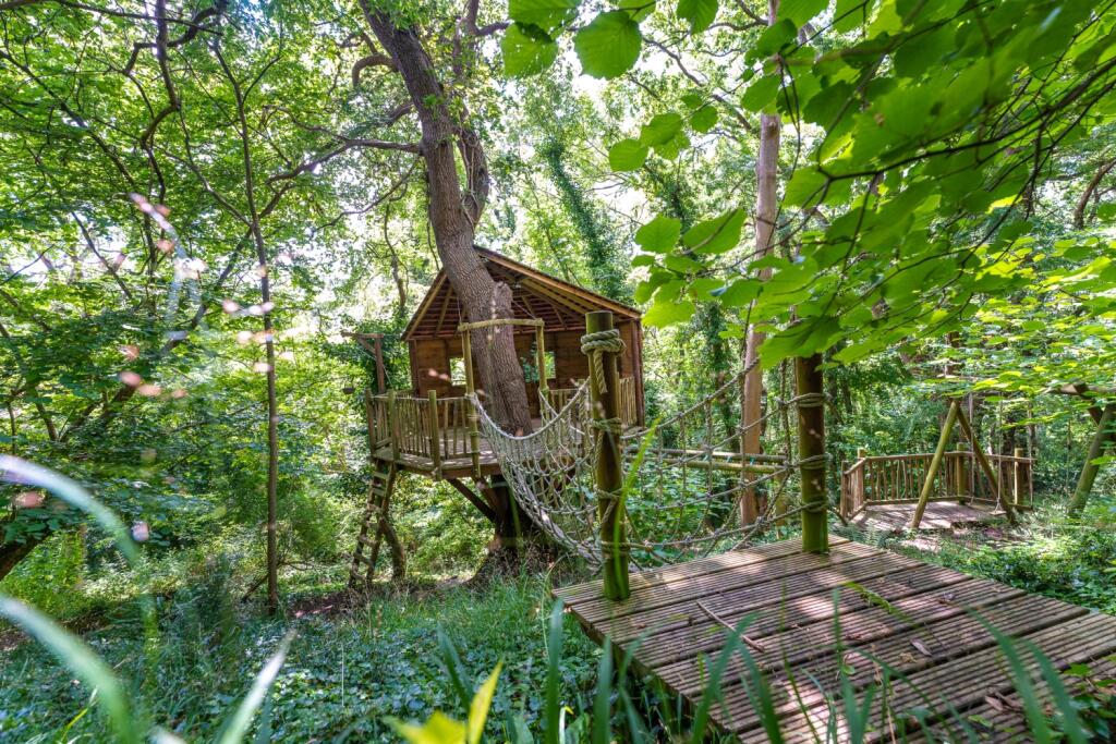 Tree House