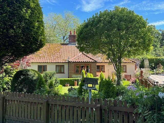 Z19 T202406261148.jpg