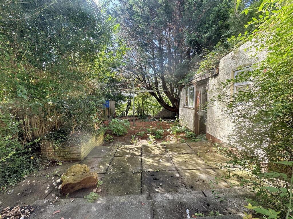 IMG_0776.jpg