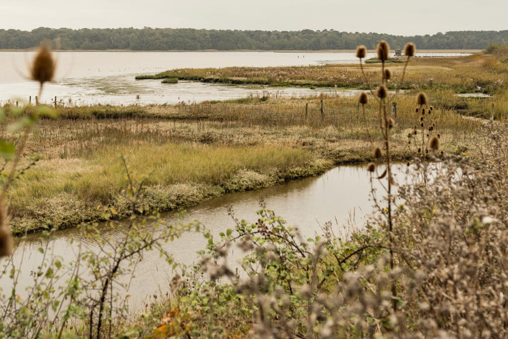 238599 - a0O0X00000QXMTzUAP_N47.jpg