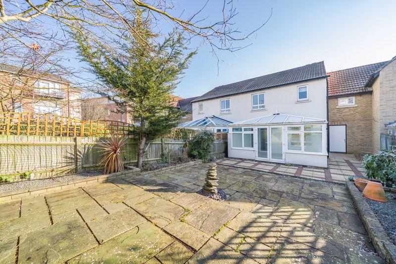 Back garden