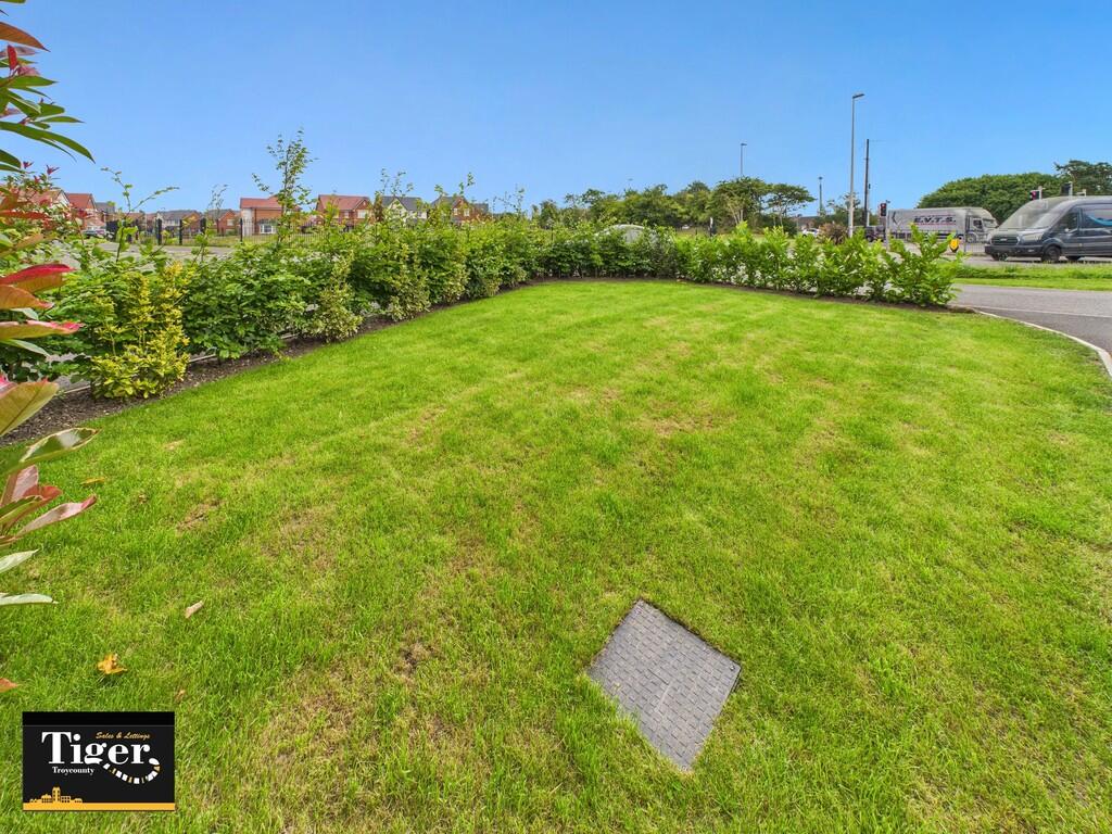 CAM02176G0-PR0651...