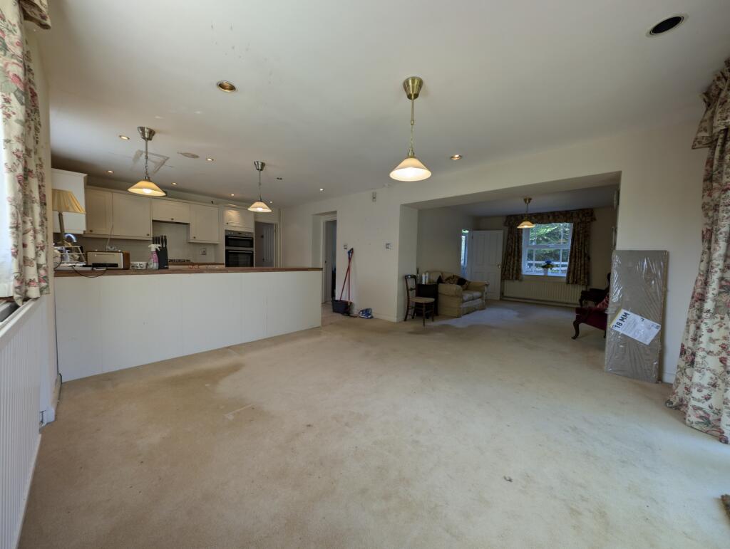 Living room and kitchen