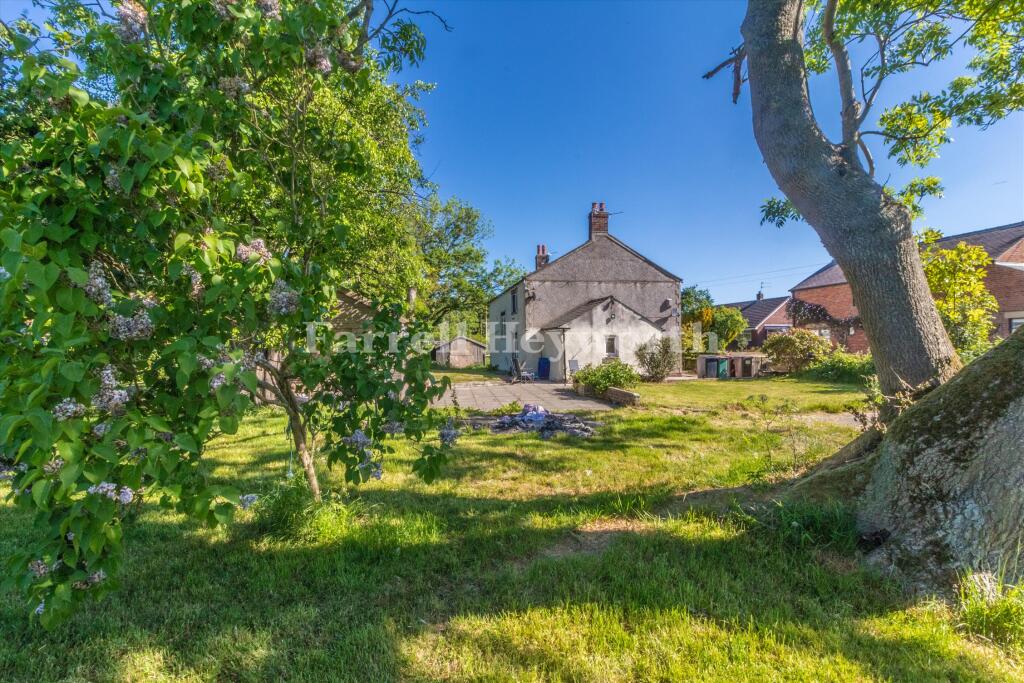 Garden Image 3 T202511191527.jpg