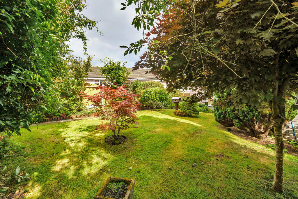 Delightful garden...