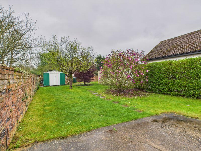 Rear garden