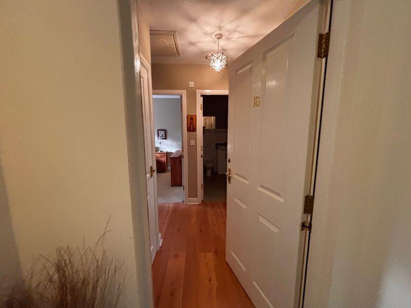 Front door and hallway