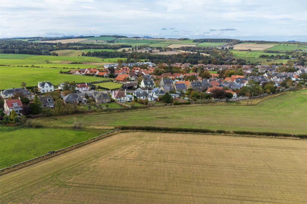 Local Views