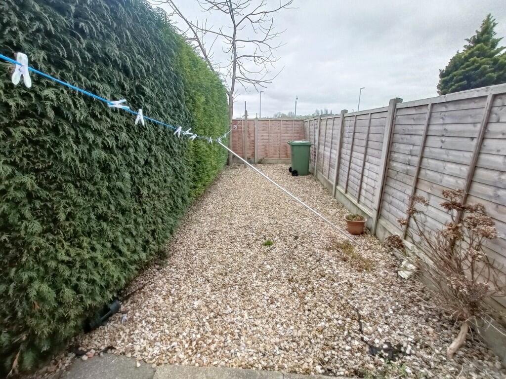 Back garden