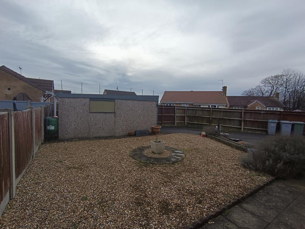 Rear Aspect (1)
