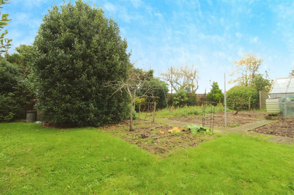garden 205.jpeg