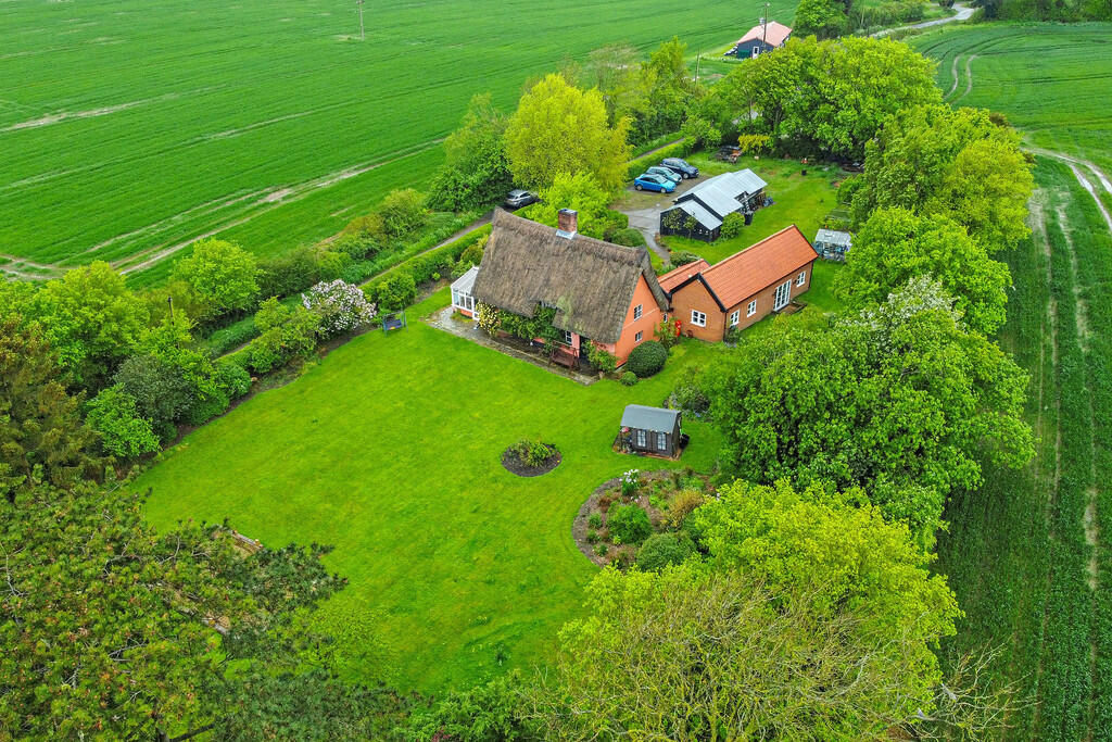 PT-DB(WP)-TheRose...