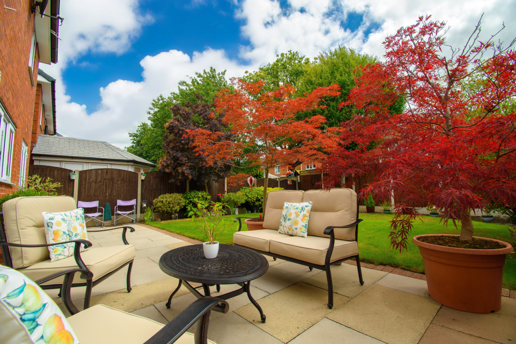 Untitled (5200 x 3900 px) (5200 x 3450 px) (6000 x