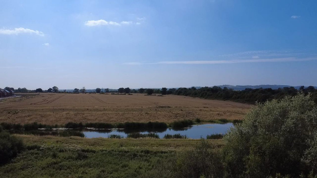 Field View