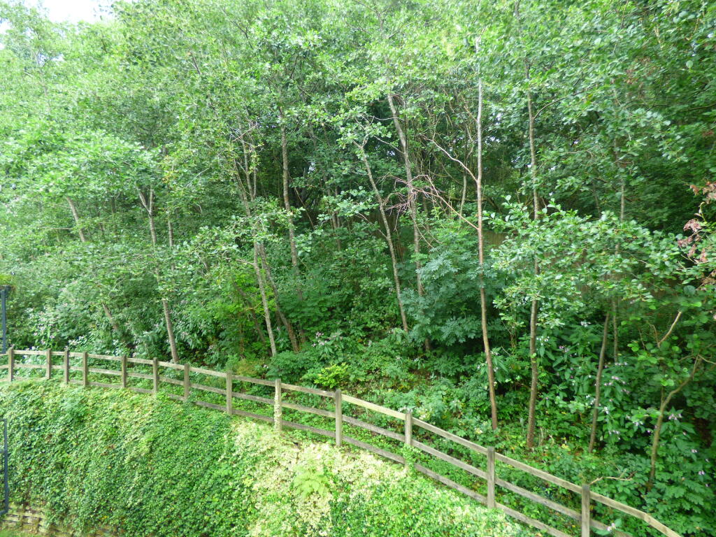 View from the bedroom window