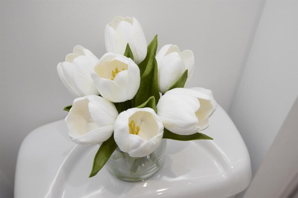 6P1A6345.jpg