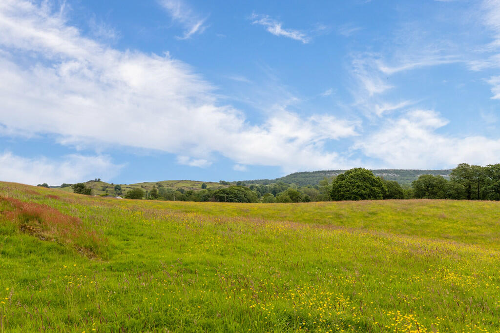 View of Buttercup...