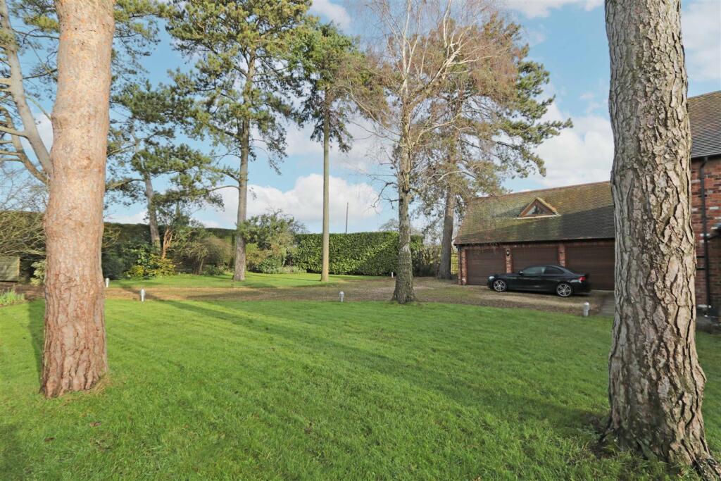 Front garden.jpg