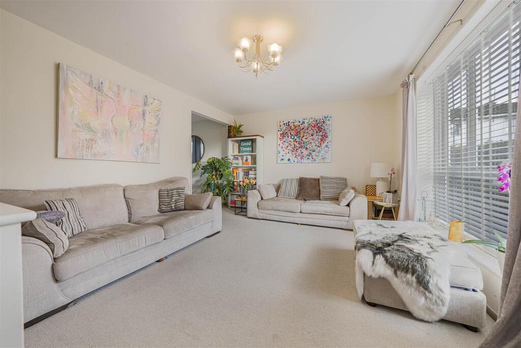 Photo Mar 17 2025, 5 46 25 PM.jpg