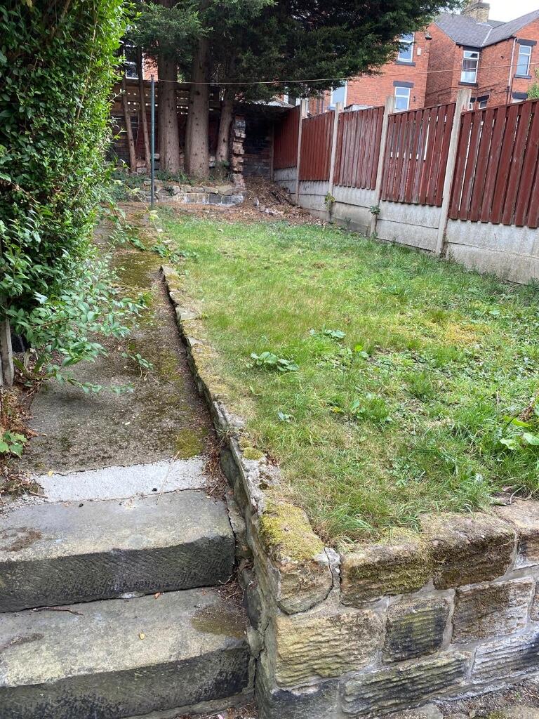 Back Garden 