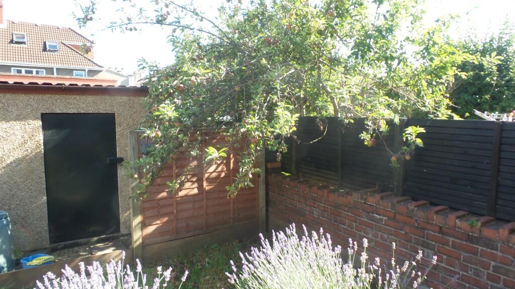 Courtyard Garden