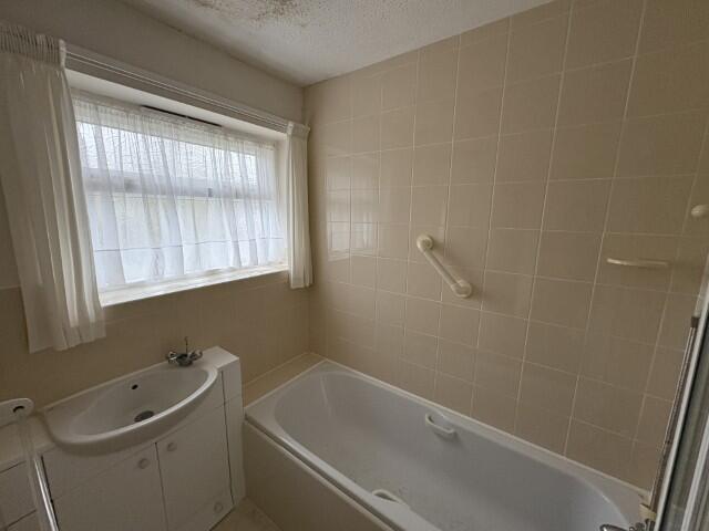 50  Small  T202511131246.jpg