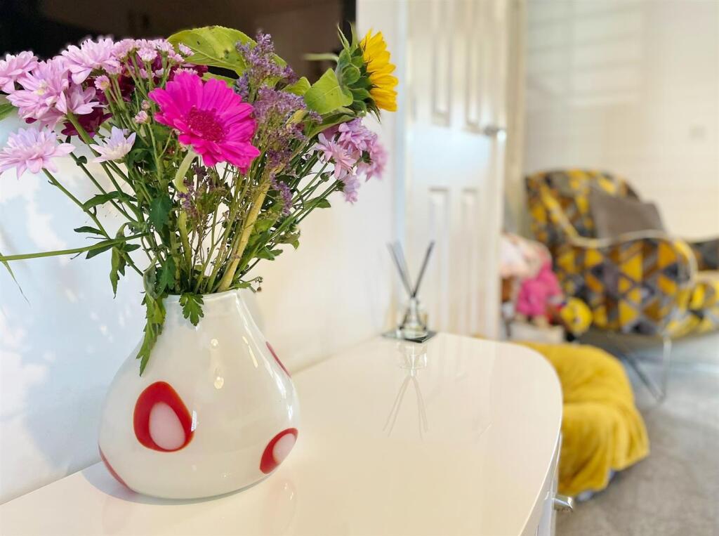 Lounge Feature