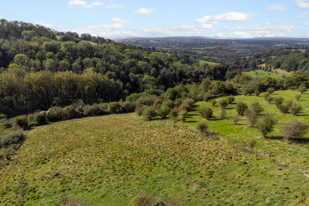 The Land and View