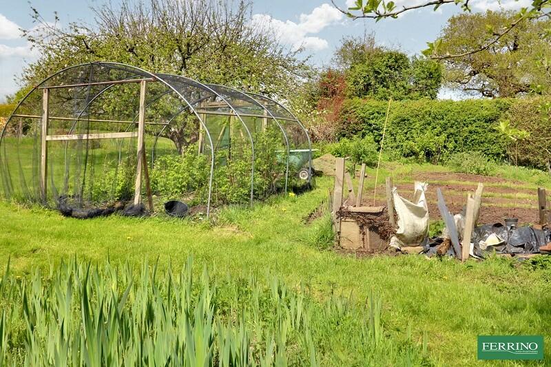 Vegetable Garden