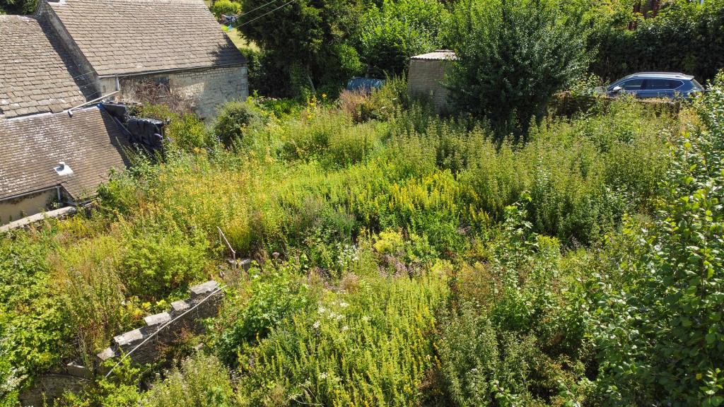 Ph15_3762764.jpg