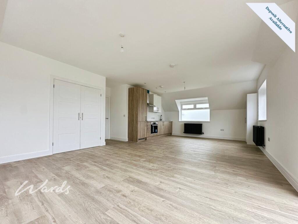 Living/Kitchen Area 